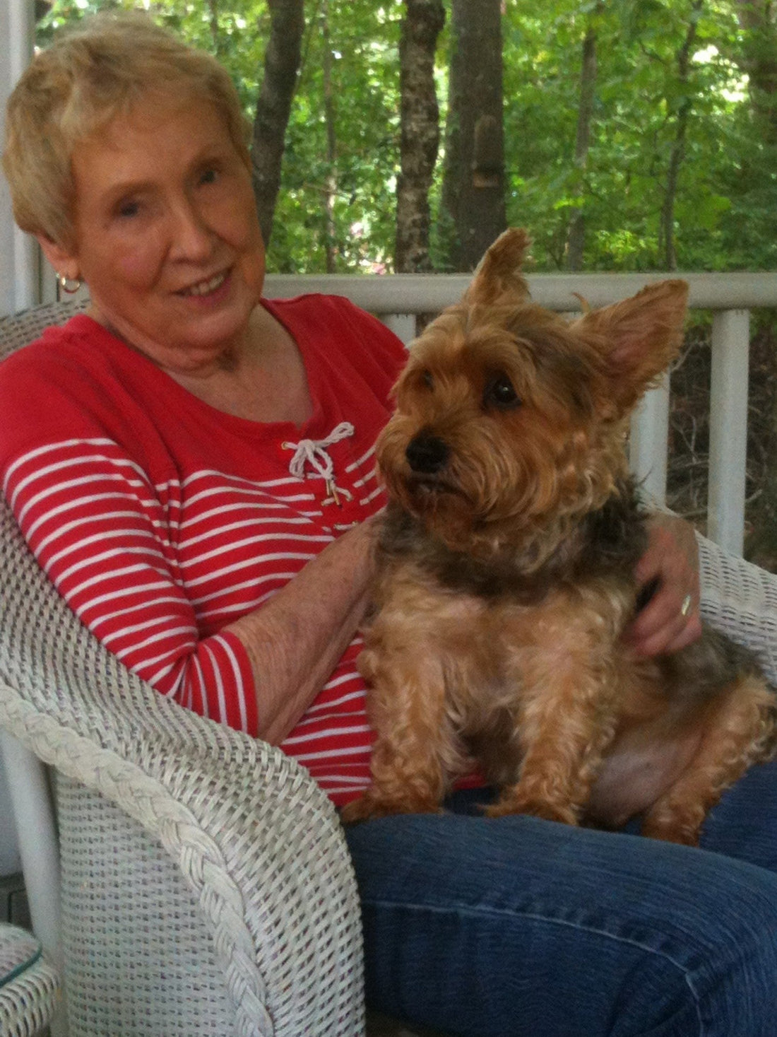 Small Dog. Big Connection. Bigger Companion.