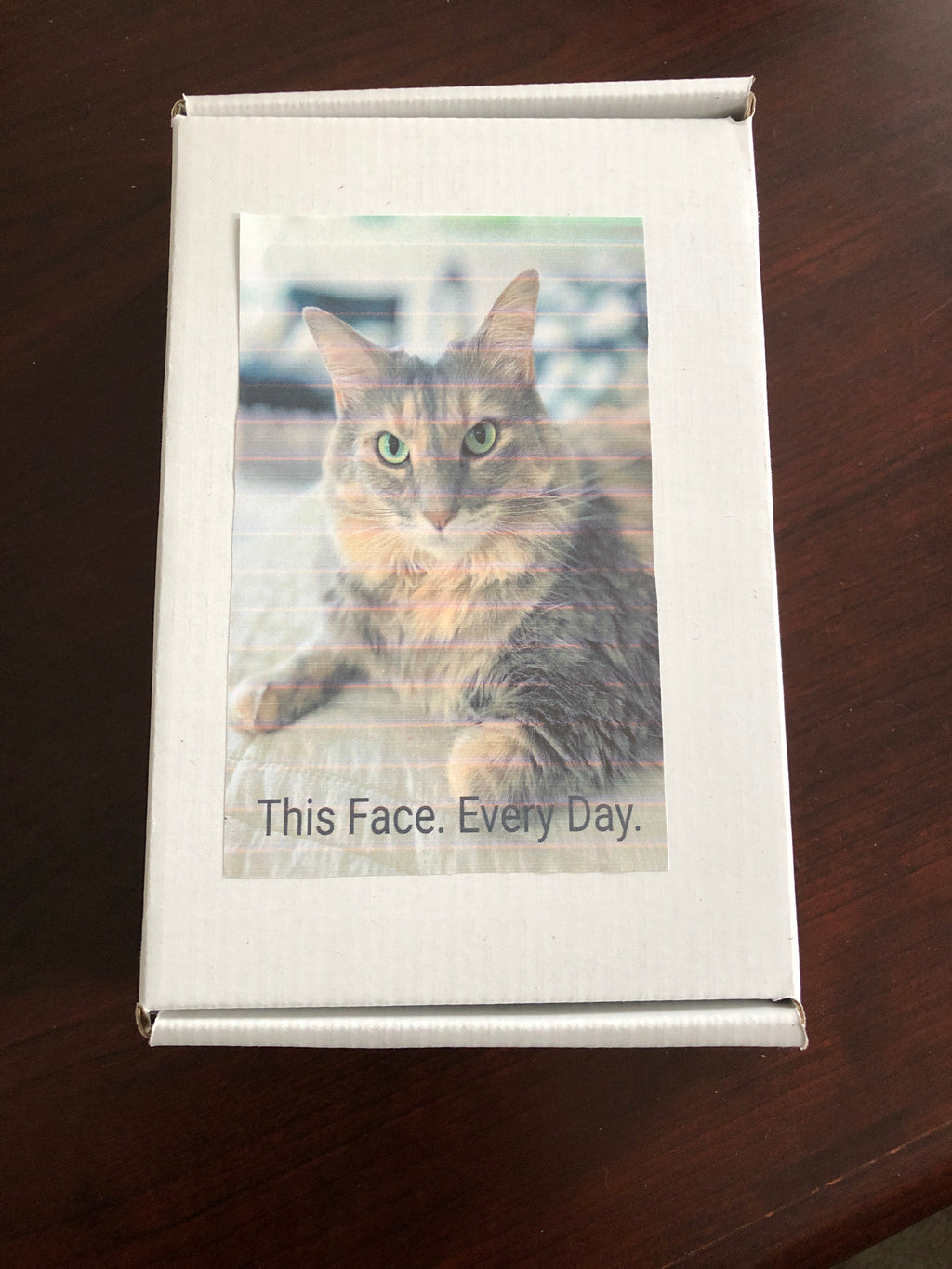 Puzzle box with a cat photo and text 'This Face. Every Day.' on a wooden surface
