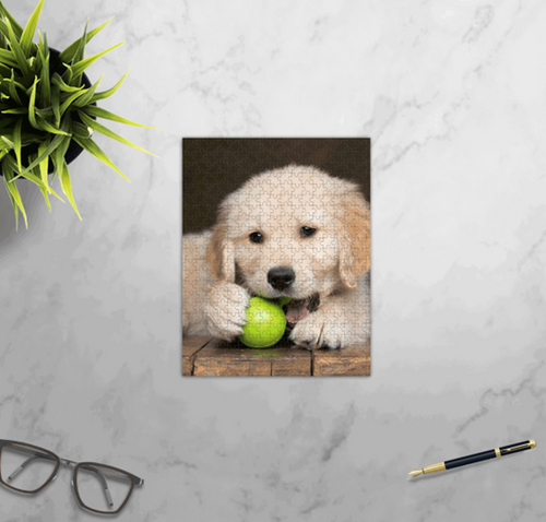 Puzzles... Capturing the Chaos and the Cuddles—One Piece at a Time