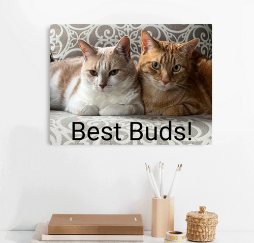 Personalized Pet Canvas Art... Capturing the Chaos and the Cuddles—Forever