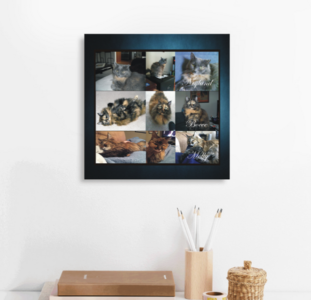 Personalized Pet Canvas Art... Capturing the Chaos and the Cuddles—Forever