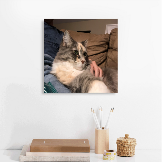 Personalized Pet Canvas Art... Capturing the Chaos and the Cuddles—Forever
