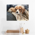 Personalized Pet Canvas Art... Capturing the Chaos and the Cuddles—Forever