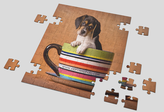 Puzzles... Capturing the Chaos and the Cuddles—One Piece at a Time