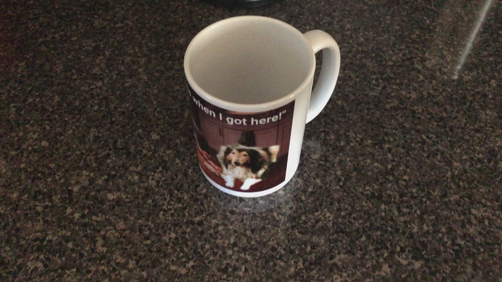 Funny Pet Coffee Mugs