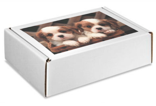 Puzzles... Capturing the Chaos and the Cuddles—One Piece at a Time